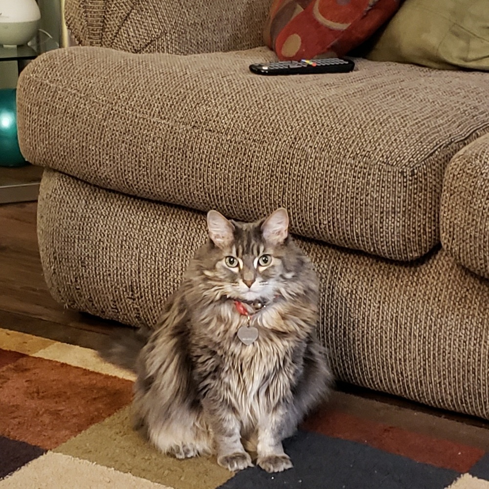 Meet your Posher, Laura